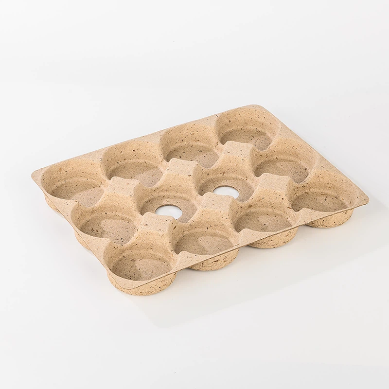Egg Paper Blister Box